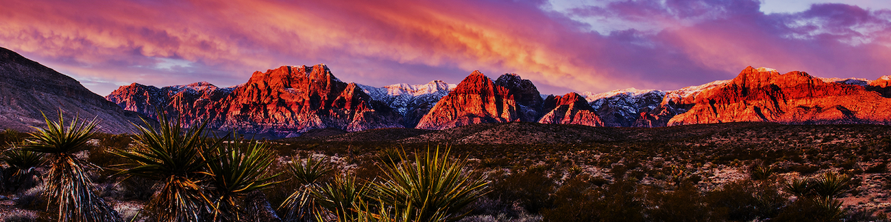 State’s online system for Assistance